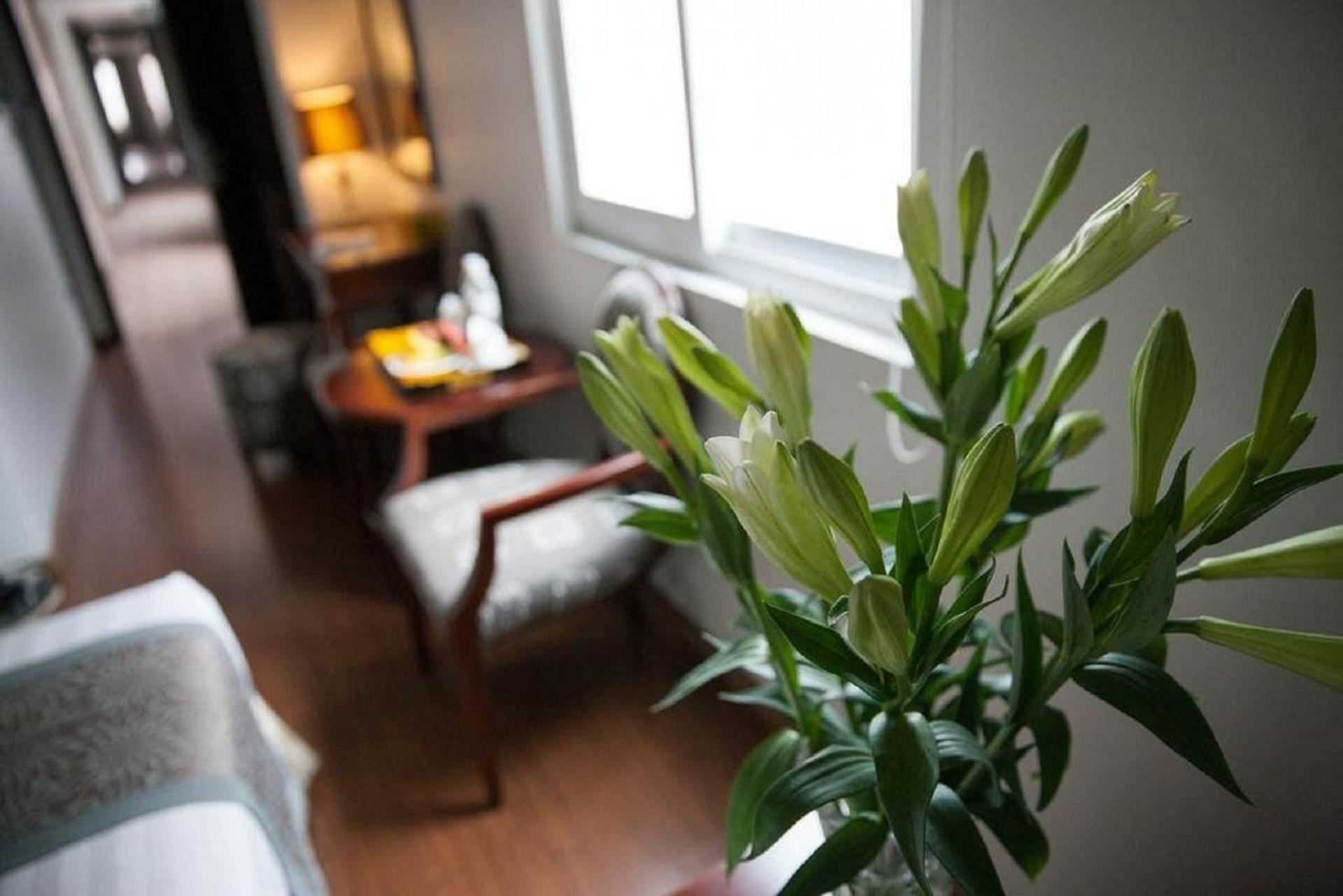 Hanoi Dragon Boutique Hotel — Photos 2